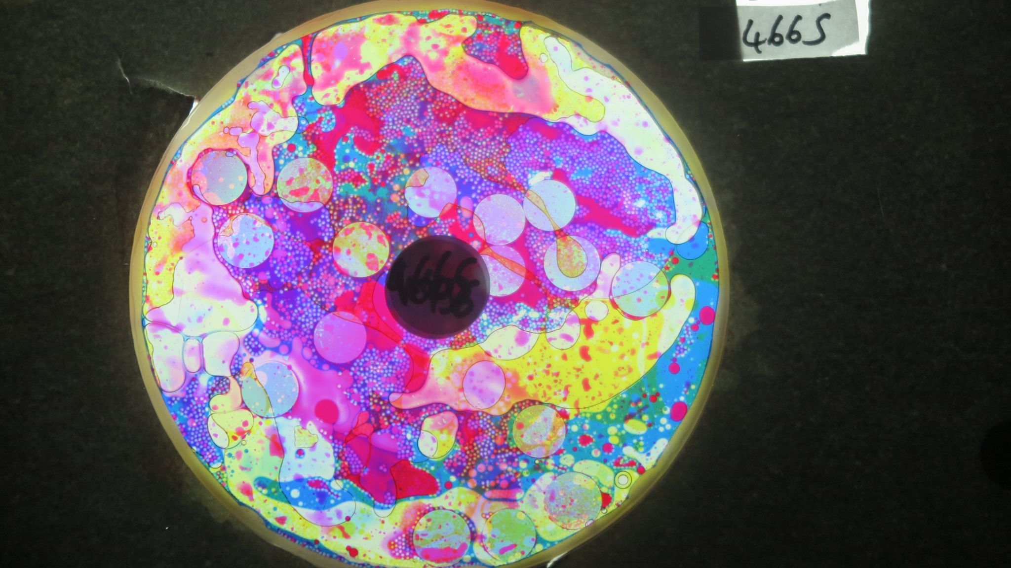 BV4665 bubble vision oil wheel